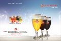 多彩扎啤产品图册