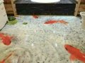 产品效果