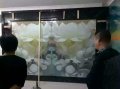 产品效果