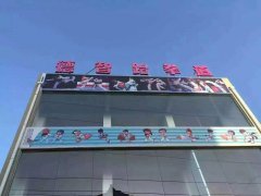 义马徳智跆拳道。