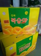绿色黄桃罐头