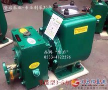 有需要齿轮油泵洒水泵吸粪泵的联系我