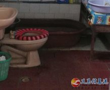 小院出租或出售