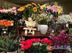 高考乐理、视唱练耳、声乐小三门、青少年（少儿）声乐、中老年人