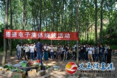 德道电子招聘办公室文员一名