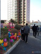 小高层小面积