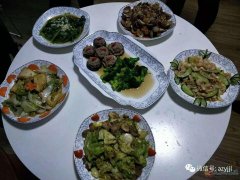 月嫂、育婴师、保姆、钟点工、护工