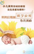 义马爱子缘家政{信息部}