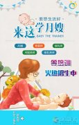 爱子缘家政