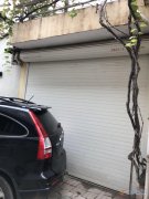 义马药监局后 9室3厅3卫 350平米小院诚意出售