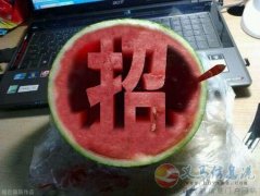 VJT护肤品免费领取试用装，招代理