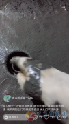 防水补漏