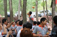 德道电子招聘会计、质检员、文员