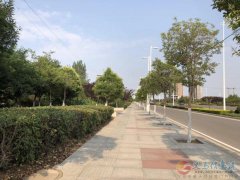 超低价出售 舒心苑3室2厅2卫 115平米 房主急需用钱