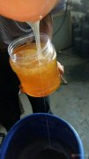 观音堂王氏蜂蜜——天然纯正无公害成熟蜂蜜