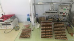 翔雲轻纺有限公司二期扩建招股东一名！！