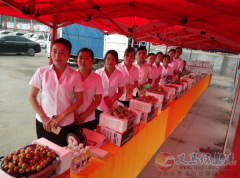 恒瑞公司的销售人，赚钱、赚钱、最赚钱!