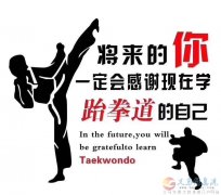 义马悟道国际跆拳道