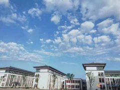 容一国际学校招聘