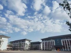 容一国际学校招聘