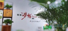 招聘电商客服专员，需熟练操作电脑打字
