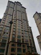 盛世天骄现房.三室两厅两卫，136平一套，毛胚
