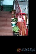 售(租)一所独家院上下二层