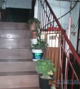 房屋是二层独家院