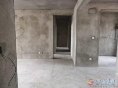 观澜国际大平方急售