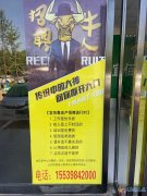 义马市宜佰嘉房产中介公司诚招！！！！！
