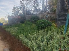 实景现房，即买即装！现售139-146㎡