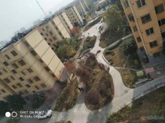 连银小区二区六楼因外地发展现出售房屋一套