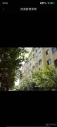毛沟苗元社区一楼96平方三室一厨一卫（附带车库）一起出售
