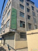 义马实验中学西隔壁单间出租或整体出租