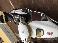 出售台铃赔钱卖电动车