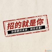 双休+五险一金+团队旅游+年终奖
