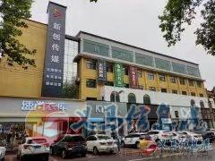 招主播，无责保底3000