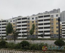 金银叶南区好楼层，好价格