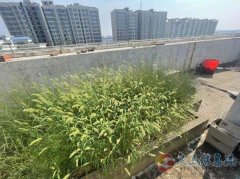水岸华庭小三室房屋出售 精装拎包入住