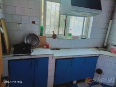千秋路生态公园大门口水泥厂家属院房屋出租