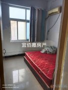 1楼，电业局后面两室，65平，月租500