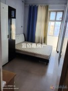 1楼，电业局后面两室，65平，月租500