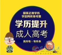 2024年兰州大学成人高考专升本函授学历招生简章