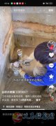 防水补漏水电维修
