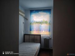 电梯房5楼，2室1厅，暖燃齐拎包入住，700元/月，建业附近