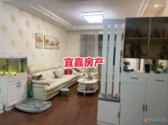 银杏国际精装电梯好楼层 2室2厅 燃暖齐全 首付仅6.6万拎