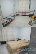 兴苑小区房屋出租