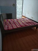 八一队综合楼附近2室1厅出租