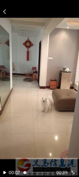 大产权步梯精装1楼 136平3室2厅 燃暖齐全 36.8万拎 大产权步梯精装1楼 136平3室2厅 燃暖齐全 36.8万拎